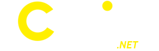 cwinvip.net