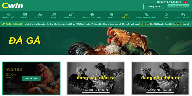 Tổng quan cơ bản về chọi kê Cwin 