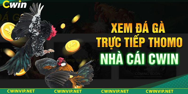 Tổng hợp các kinh nghiệm dành cho tân thủ 